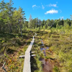 Teijo National Park - Salo