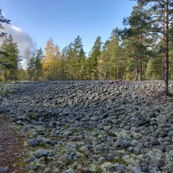Teijo National Park - Salo