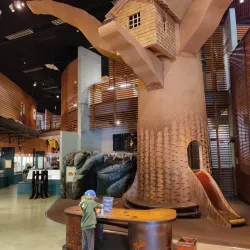 Lusto – The Finnish Forest Museum - Savonlinna