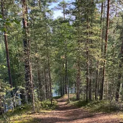 Punkaharju Ridge - Savonlinna