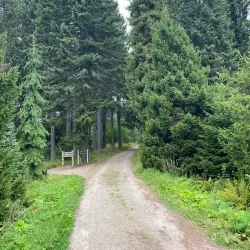 Punkaharju Ridge - Savonlinna