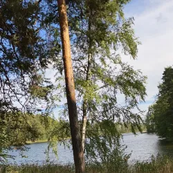 Punkaharju Ridge - Savonlinna