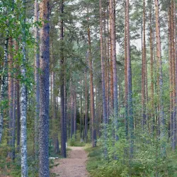 Punkaharju Ridge - Savonlinna