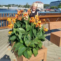 Savonlinna Market Square - Savonlinna