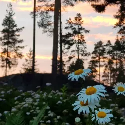 Borgå Golf Club - Sipoo