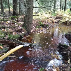 Kaitalampi Nature Trail - Sipoo