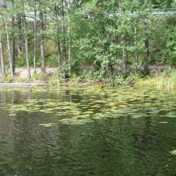 Kaitalampi Nature Trail - Sipoo