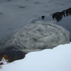 Kaitalampi Nature Trail - Sipoo