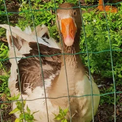 Nikkilä Manor - Sipoo