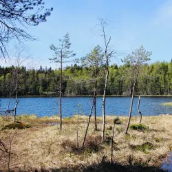 Sipoonkorpi National Park - Sipoo