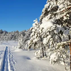 Sipoonkorpi National Park - Sipoo