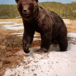 Vapriikki Museum Centre - Tampere