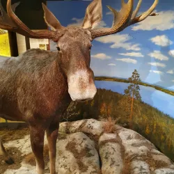 Vapriikki Museum Centre - Tampere