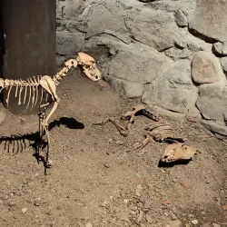 Aboa Vetus & Ars Nova - Turku