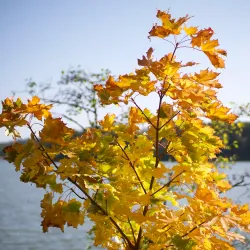 Ruissalo Island - Turku