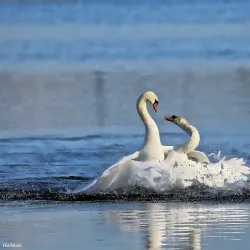 Ruissalo Island - Turku