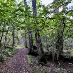 Ruissalo Island - Turku