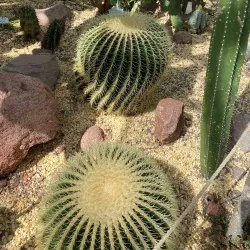 Turku Botanical Garden - Turku