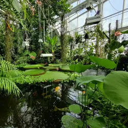 Turku Botanical Garden - Turku