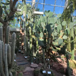 Turku Botanical Garden - Turku