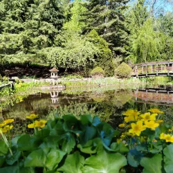 Turku Botanical Garden - Turku