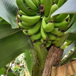Turku Botanical Garden - Turku