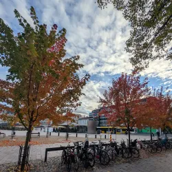 Turku Market Square (Kauppatori) - Turku
