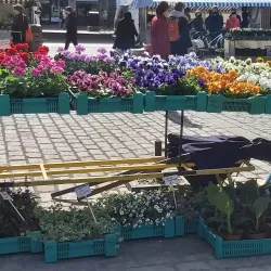 Turku Market Square (Kauppatori) - Turku