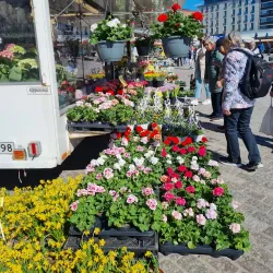 Turku Market Square (Kauppatori) - Turku