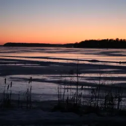 Lake Tuusula - Tuusula