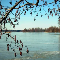Lake Tuusula - Tuusula