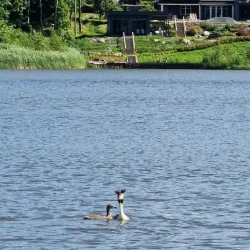 Lake Tuusula - Tuusula
