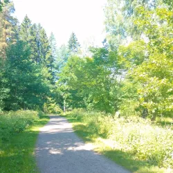 Hakunilan Arboretum - Vantaa