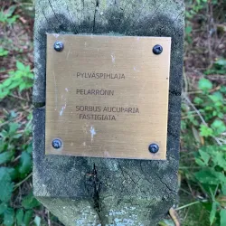 Hakunilan Arboretum - Vantaa