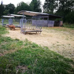 Hakunilan Arboretum - Vantaa