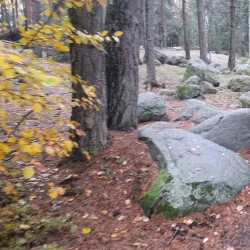 Hakunilan Arboretum - Vantaa