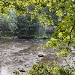 Kivistö Nature Trail - Vantaa