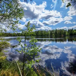 Sipoonkorpi National Park - Vantaa