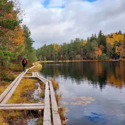 Sipoonkorpi National Park - Vantaa