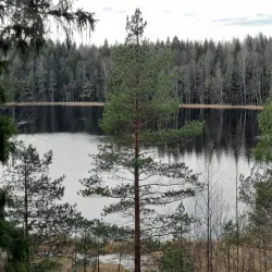 Sipoonkorpi National Park - Vantaa