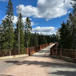 Sipoonkorpi National Park - Vantaa