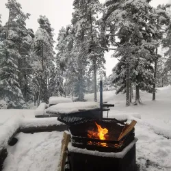 Sipoonkorpi National Park - Vantaa