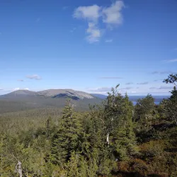 Järvilinna Nature Reserve - Varkaus