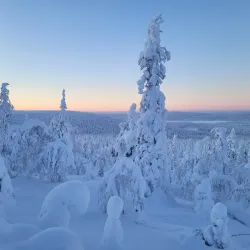 Järvilinna Nature Reserve - Varkaus
