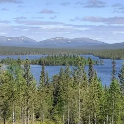 Järvilinna Nature Reserve - Varkaus