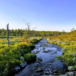 Järvilinna Nature Reserve - Varkaus