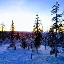 Järvilinna Nature Reserve - Varkaus