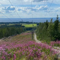 Lake Vimpelinjärvi - Vimpeli