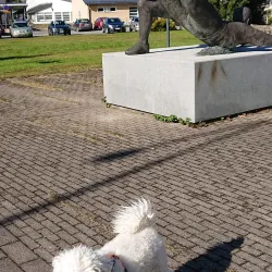 Vimpeli Village Center - Vimpeli