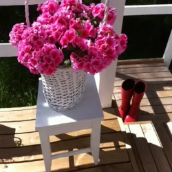 Border Museum Virolahti - Virolahti